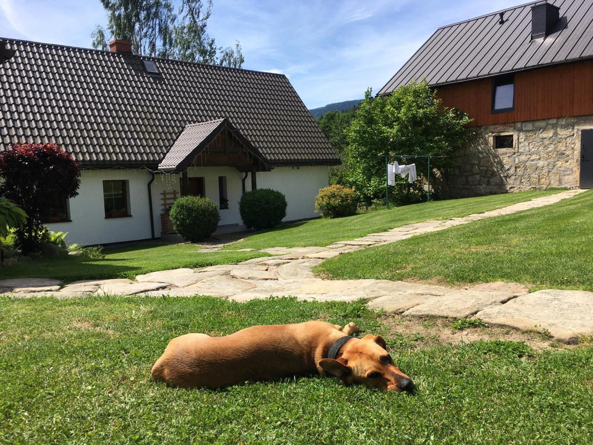 Agroturystyka Ostoja Polanica-Zdroj Exterior photo